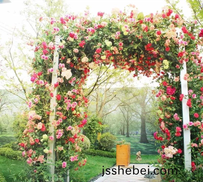 http://jsshebei.com/data/images/case/20200113165757_859.jpg