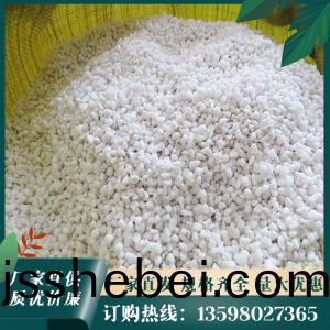 珎珠(zhu)巗