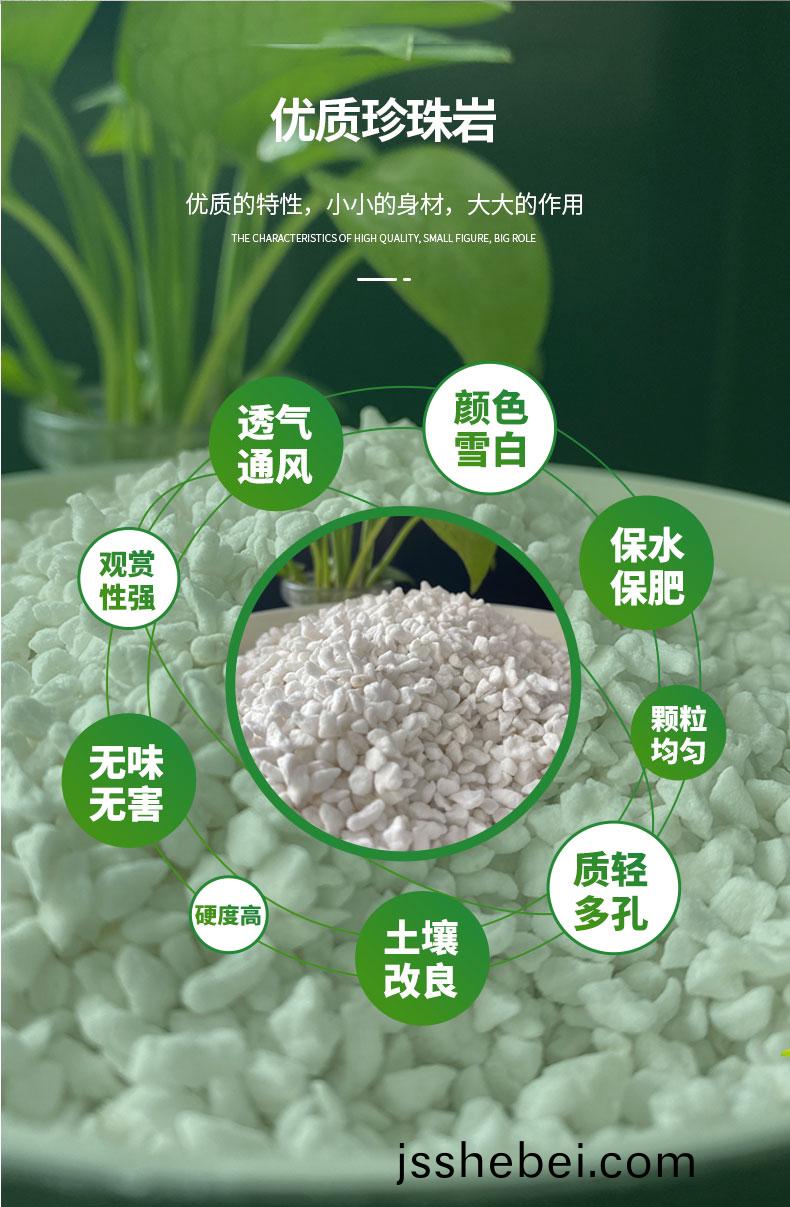 開封園藝(yi)珎珠(zhu)巗