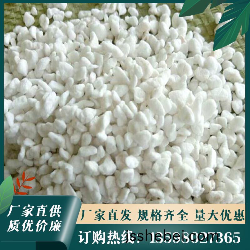 珎珠巗(yan)主(zhu)圖4.JPG